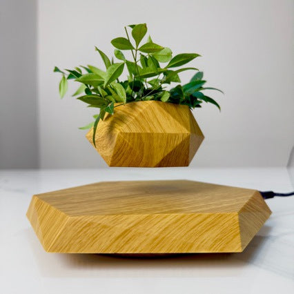 AuraFloat? Levitation Planter